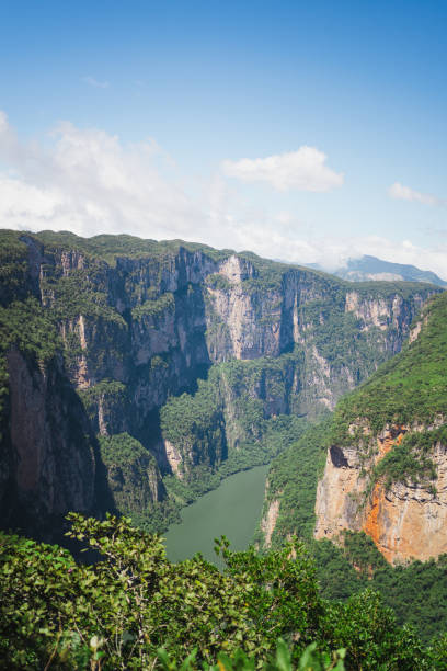 istock View of Sumidero canyon from above. Chiapas, Mexico. 1988423579