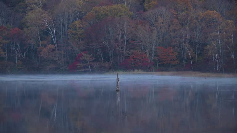 Beautiful reflection of Kagami pond or mirror pond in Togakushi, Nagano