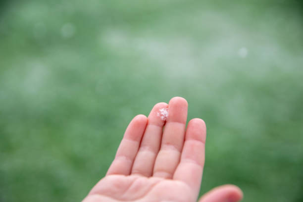 Helthy skin. Hand of child catch of snowflake in the garden. Green natural background.
