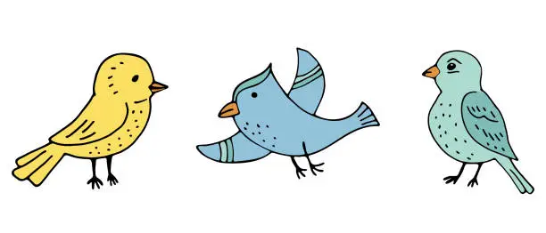 Vector illustration of Three cute colorful birds. Vector illustration