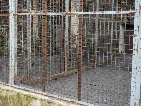 Outdoor fence at the zoo. Empty cages in the zoo. Winter at the zoo. The animals hid. Empty animal enclosure. Lattice