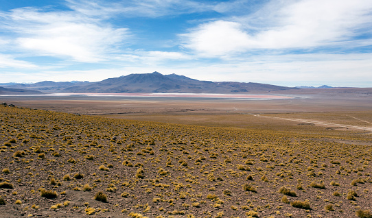 The landscape in Uyuni plateau, Bolivia