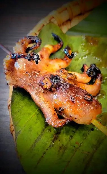 Fresh squid squier with bbq over coals over banana leaf, itsm doesnt get any more inviting than that