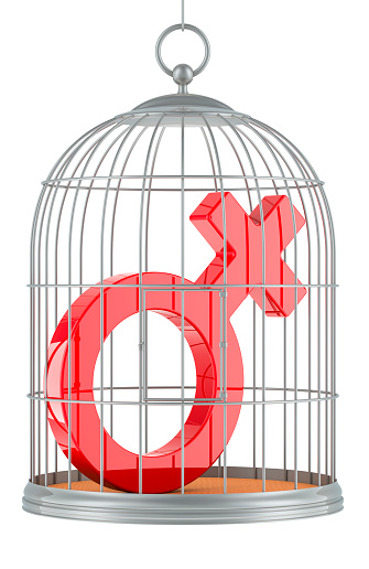 Birdcage with female gender symbol, 3D rendering isolated on white background