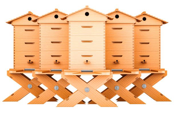 Wooden beehives with stands. Frame Bee Hives. 3D rendering isolated on white background