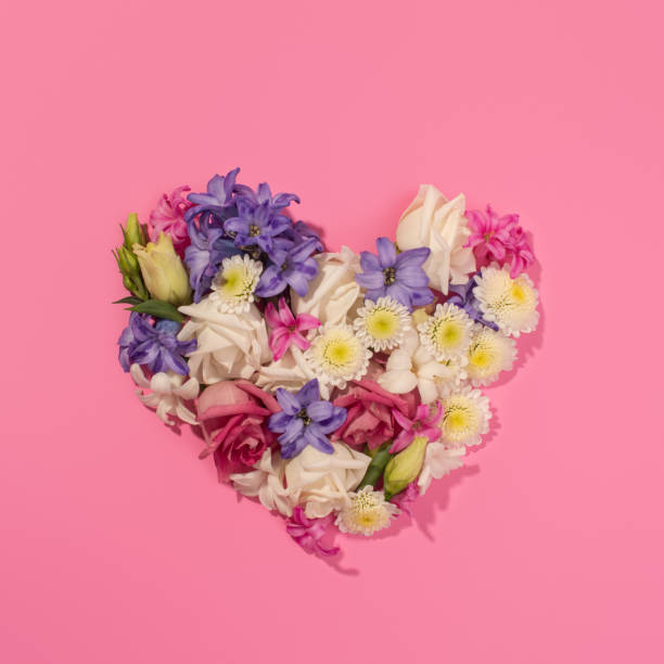 istock heart made of different flowers on a pink background 1988638667