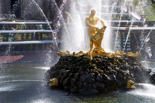 Saint Petersburg, Russia - June 09, 2023: Samson fountain in Lower park of Peterhof near St. Petersburg. Built in 18th century laid out on the orders of Peter the Great. The palace-ensemble with fountains, gardens and monuments is recognized as a UNESCO World Heritage Site.