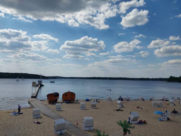 istock A dreamlike nature by the beach 1988673636