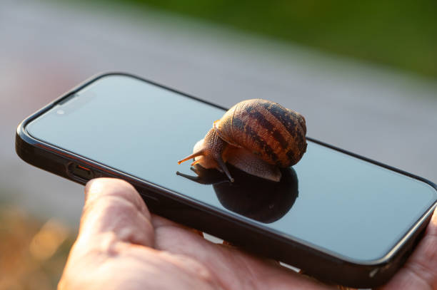 istock Snail on a mobile phone. 1988679489
