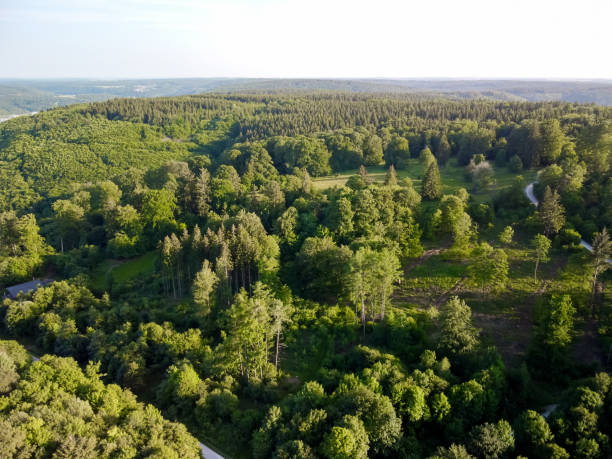 istock bird view over the forest into the landscape in Germany 1988690270