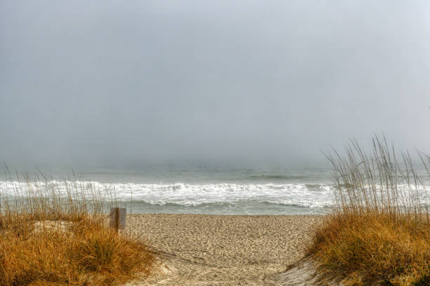 Foggy Ocean Beach Landscape stock photo