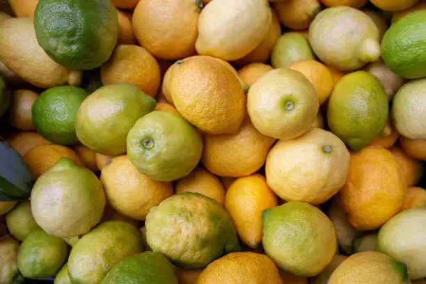 Lemons  in the market