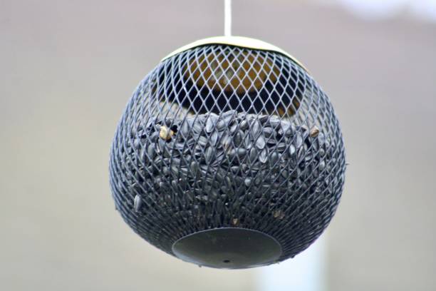 bird feeder - millet terrace photos et images de collection