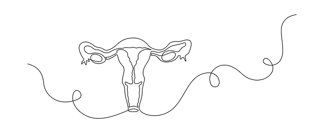 One continuous line drawing of woman uterus. Ovary and womb reproductive system in simple linear style for logo and web banner gynecology medical clinic. Editable stroke. Flourish vector illustration.
