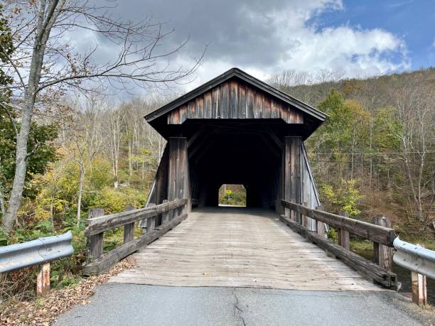 istock Livingston Manor Covered Bridge 1988777871