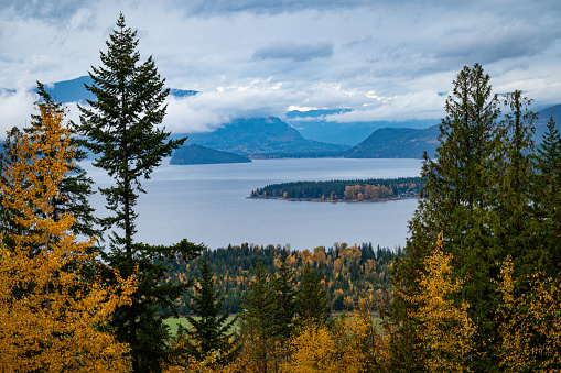 View of Shuswap Lake, British Columbia, with trees and mountains from the north shore.