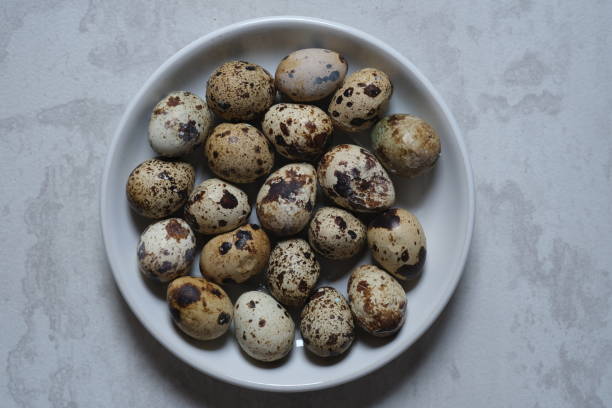 istock quail eggs in a white plate. proteins. allergen. 1988901292