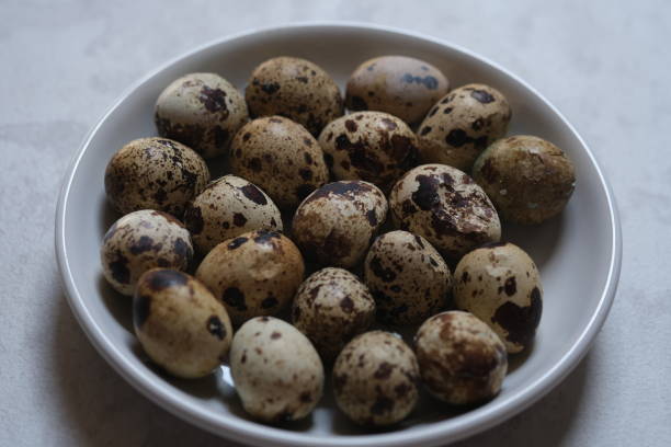 istock quail eggs in a white plate. proteins. allergen. 1988901301