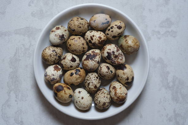 istock quail eggs in a white plate. proteins. allergen. 1988901818
