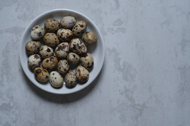 istock quail eggs in a white plate. proteins. allergen. 1988902332