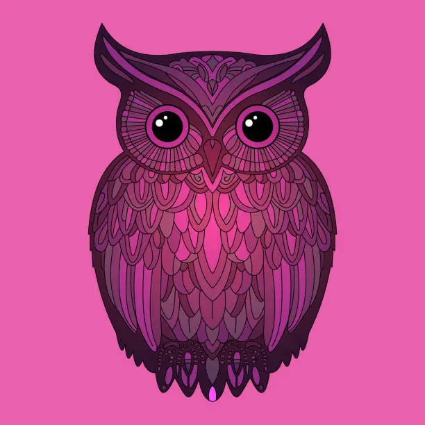 Vector illustration of Colored detailed owl. And draw vector illustration