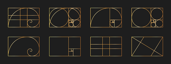 Set of golden ratio templates. Logarithmic spiral in rectangle frame divided on lines, squares and circles. Fibonacci sequence grids. Ideal nature symmetry proportions layouts. Vector illustration