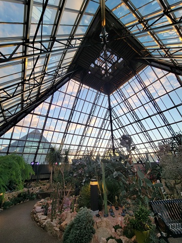 A serene sunset view through the glass paneled roof of a plant-filled Muttart Conservatory conservatory in Edmonton, providing a tranquil escape amidst lush greenery as the day comes to a close.