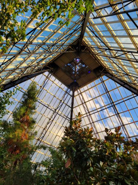 istock Glass Oasis in Edmonton 1988923133