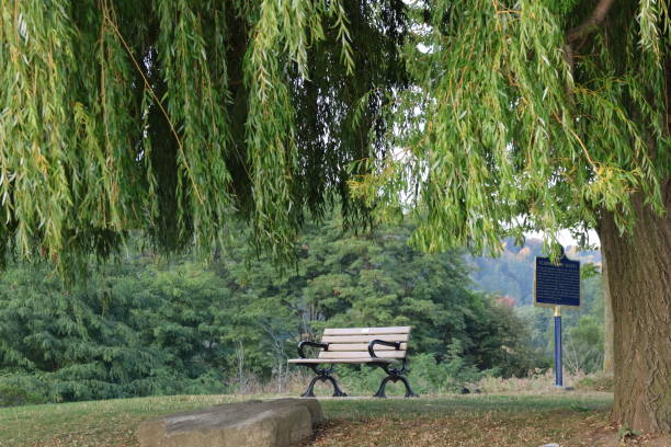 istock Tranquil Repose in Toronto's Natural Splendor 1988923177