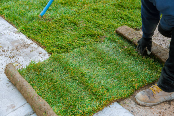istock Man unrolling rolls of turf natural grass for a landscaping 1989065703