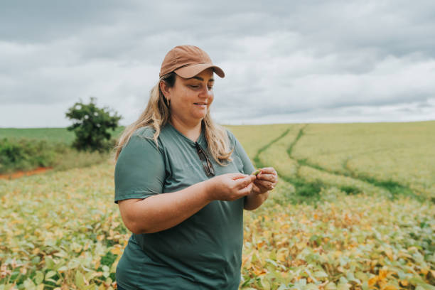 istock Female agronomist examining ripening soybeans 1989097055