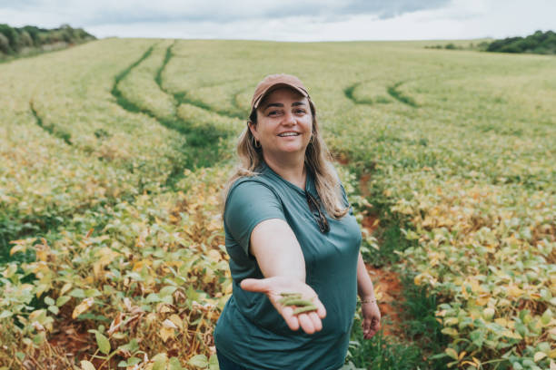 Female agronomist showing soybean pods