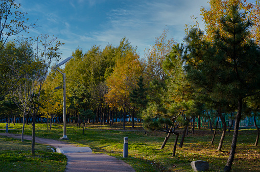 When the sun sets on an autumn day, you can see a beautiful park.
