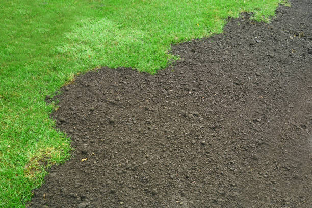 istock green lawn and dirt for new lawn 1989203851