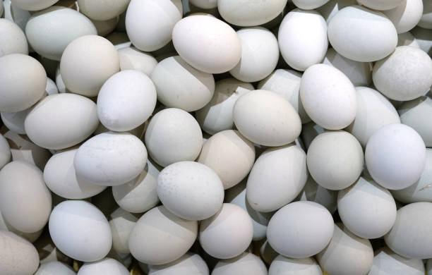 istock top view of duck eggs 1989207494