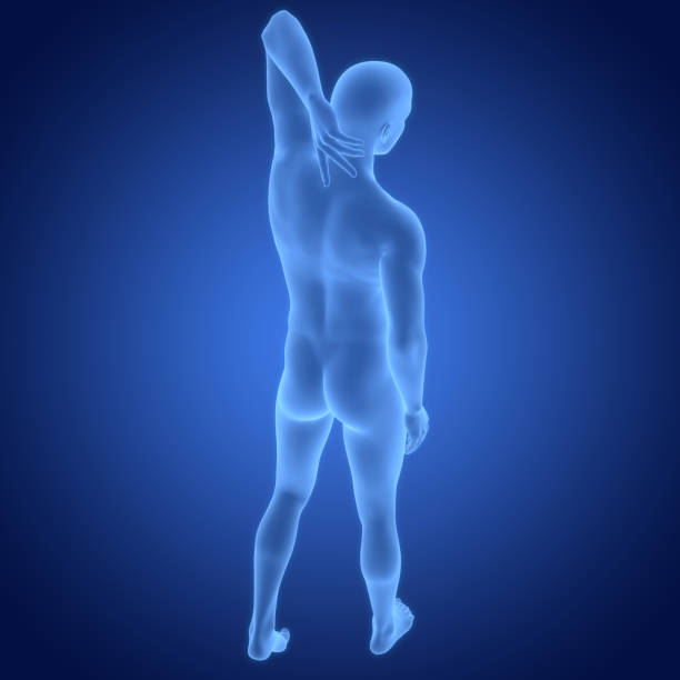 3D Illustration Concept of Human Body Suffering with Backpain Anatomy