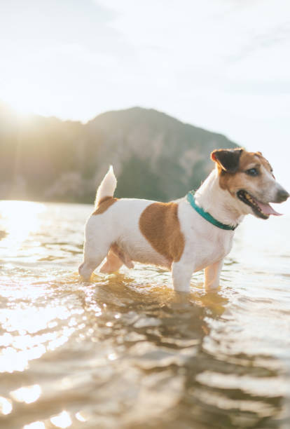 istock Hey mom Let's swim with me 1989235470