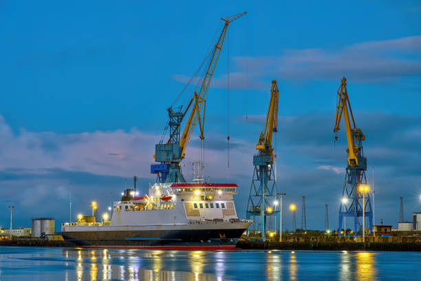istock Three yellow and blue cranes at dusk 1989303049