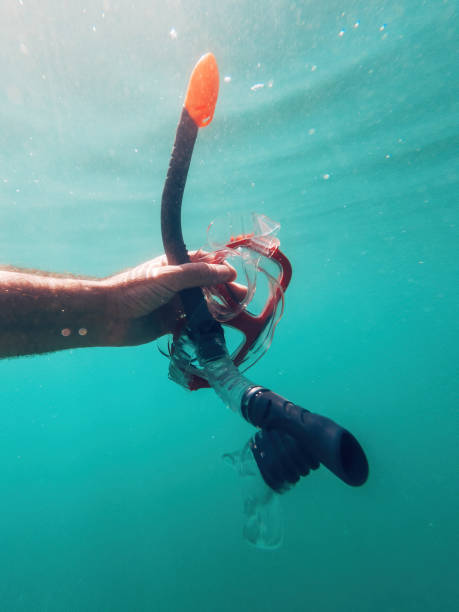 istock Man holding snorkeling mask underwater while swimming in ocean 1989315489