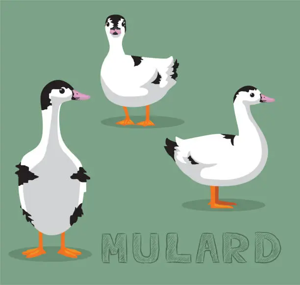 Vector illustration of Duck Mulard Cartoon Vector Illustration
