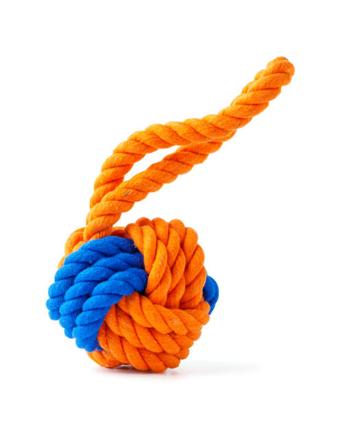 istock Dog pet toy isolated on white background 1989335598