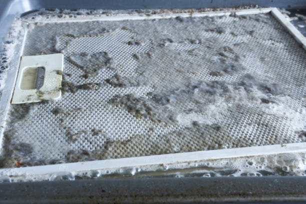 istock Cleaning the hood filter. Dirty kitchen hood filter in cleaning solution 1989339294
