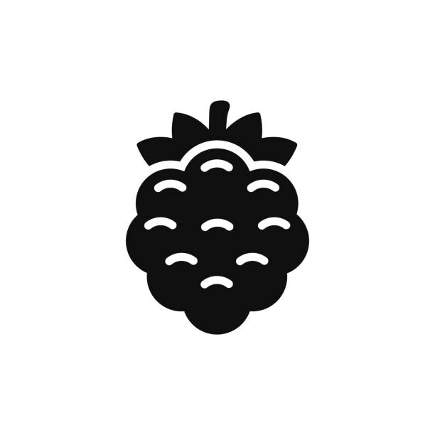 白い背景で隔離されたブラックベリーのアイコン - currant berry fruit black vector点のイラスト素材／クリップアート素材／マンガ素材／アイコン素材