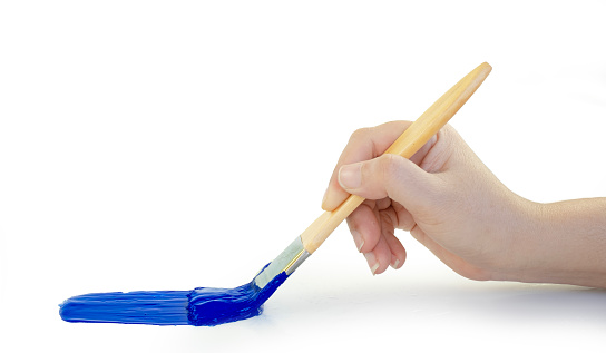 Hand holding paint brush blue on a white background
