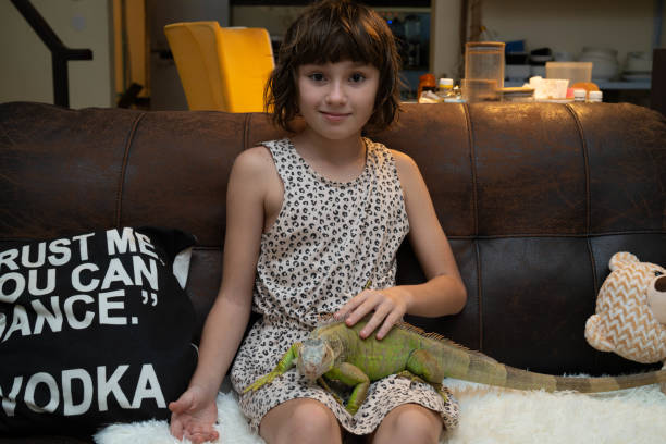 игуана сидит на коленях у девочки. рептилия в руках человека. - iguana reptile smiling human face стоковые фото и изображения