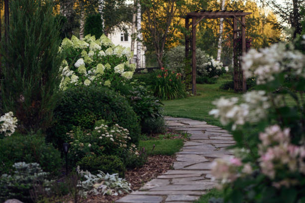 istock ornamental cottage garden view in august with blooming hydrangeas paniculata, stone path way and wooden archway 1989367573