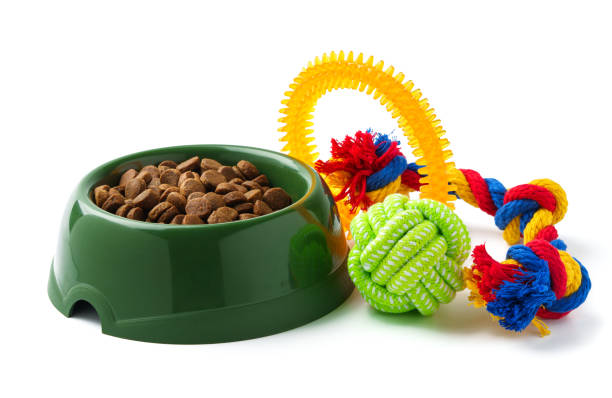 istock Green plastic bowl with dry pet food isolated on white 1989377438