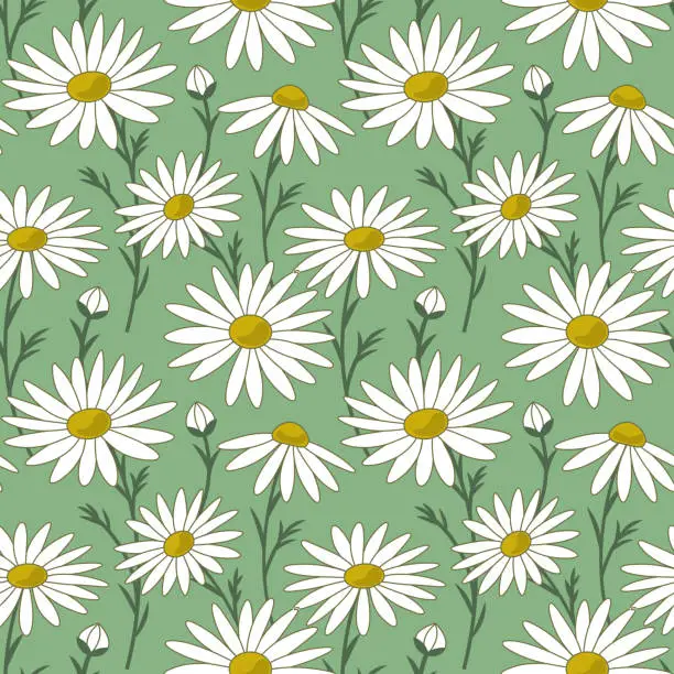Vector illustration of Daisy chamomile flowers spring summer seamless vector pattern