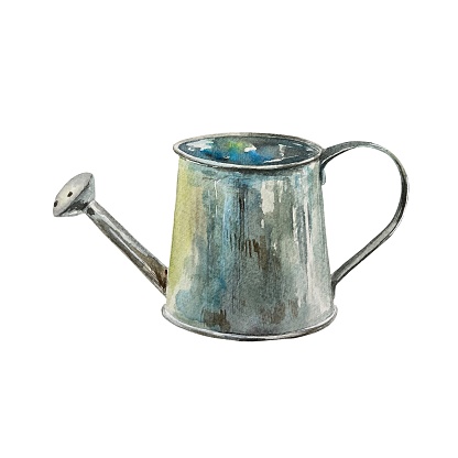 Garden watering can, watercolor, metal. Illustration isolated on white background. Design element for cards, invitations, covers, garden banners, labels.