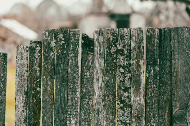 Boards on an old wooden fence as an abstract background. Texture.